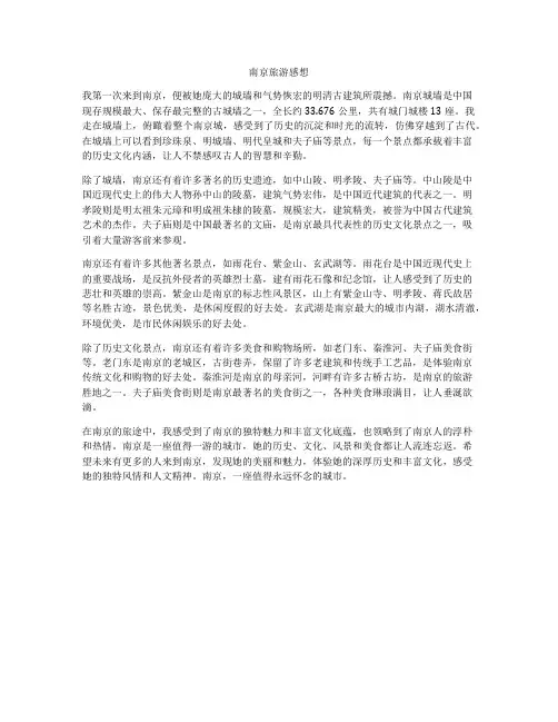 南京旅游感想
