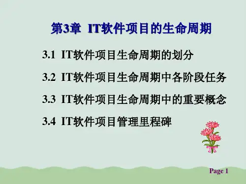 IT软件项目的生命周期PPT(共46页)
