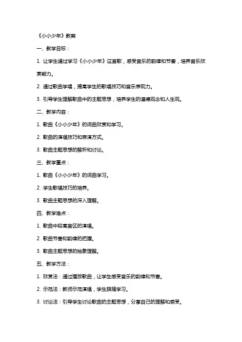 《小小少年》教案