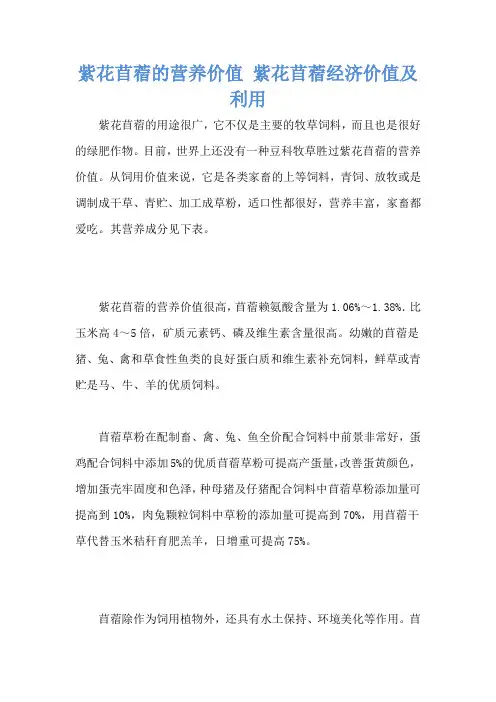紫花苜蓿的营养价值 紫花苜蓿经济价值及利用