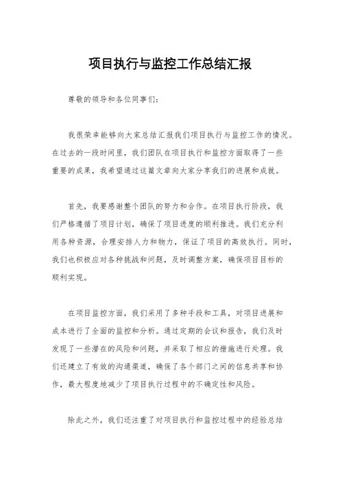 项目执行与监控工作总结汇报