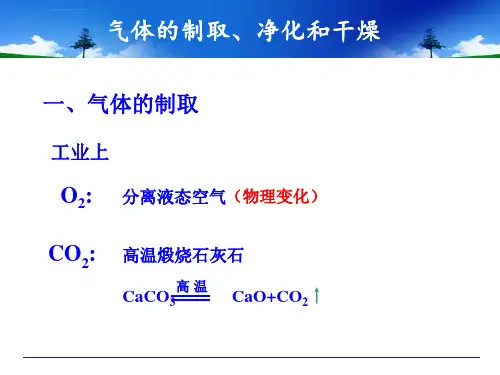 气体的制取和净化复习课件ppt