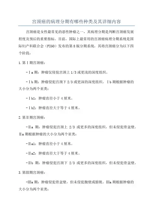 宫颈癌的病理分期有哪些种类及其详细内容