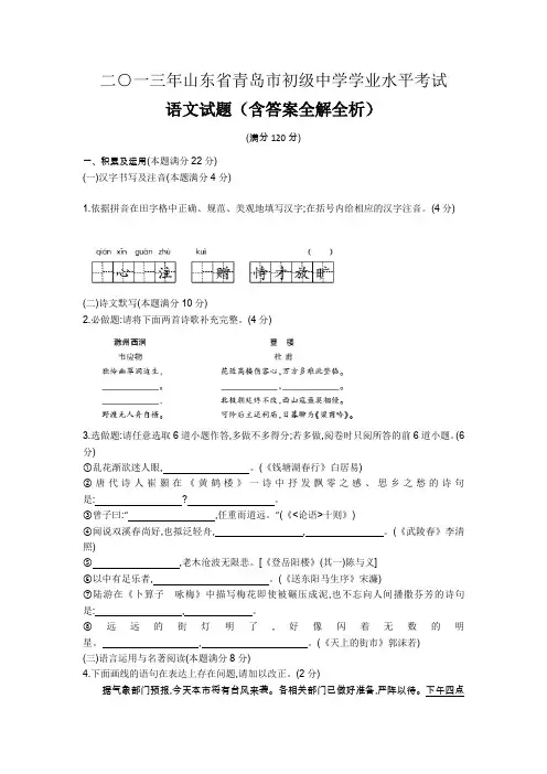 2013年山东青岛卷初中学业水平考试语文(试卷+答案)