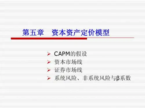 金融经济学-6资本资产定价模型
