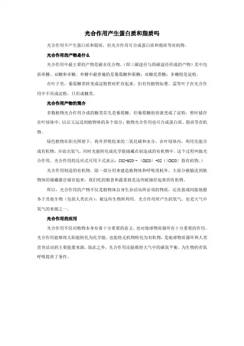 光合作用产生蛋白质和脂质吗