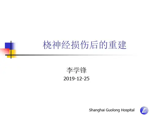 桡神经功能重建的副本