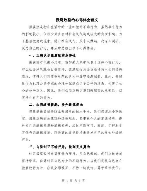 微腐败整治心得体会范文
