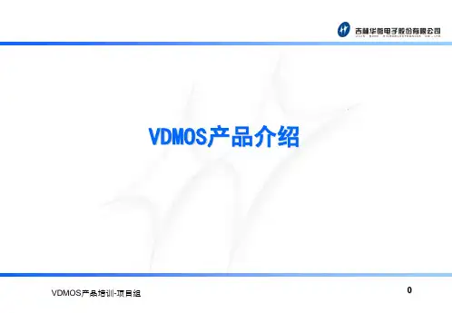 VDMOS 详细培训教案ppt课件