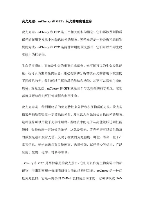 荧光光谱、mCherry和GFP：从光的角度看生命