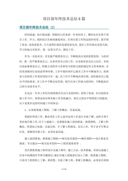 项目部年终技术总结6篇