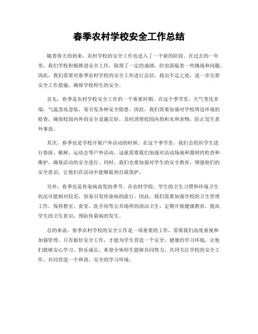 春季农村学校安全工作总结