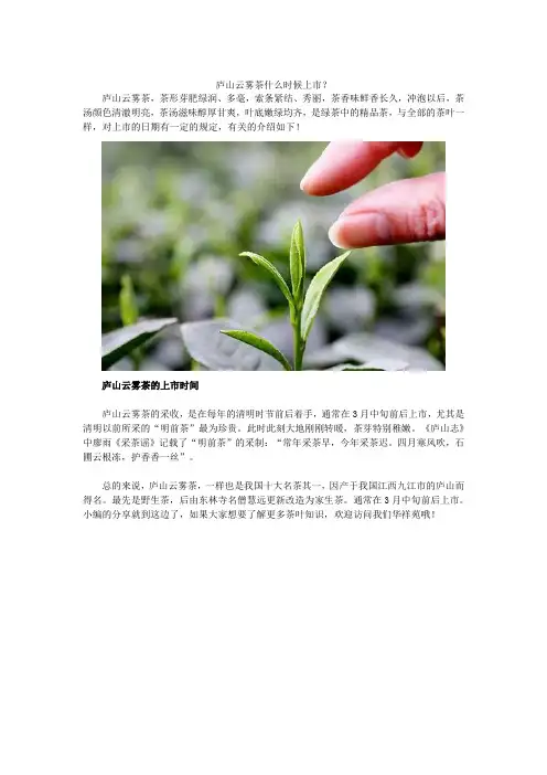 庐山云雾茶什么时候上市？