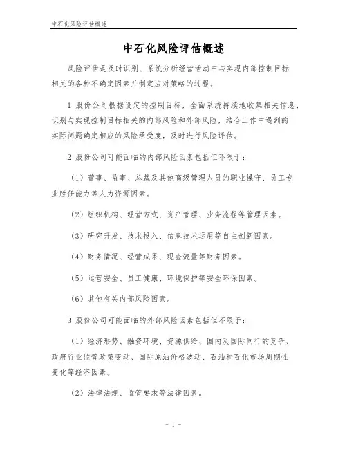 中石化风险评估概述