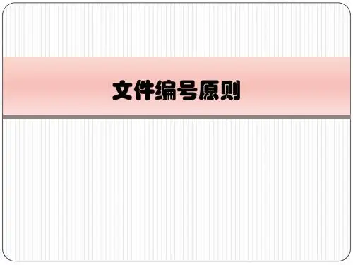 10文件编号原则