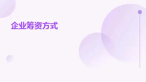 《企业筹资方式》课件2