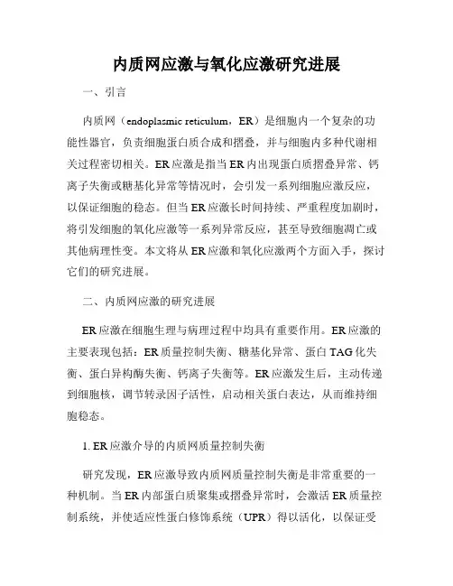 内质网应激与氧化应激研究进展