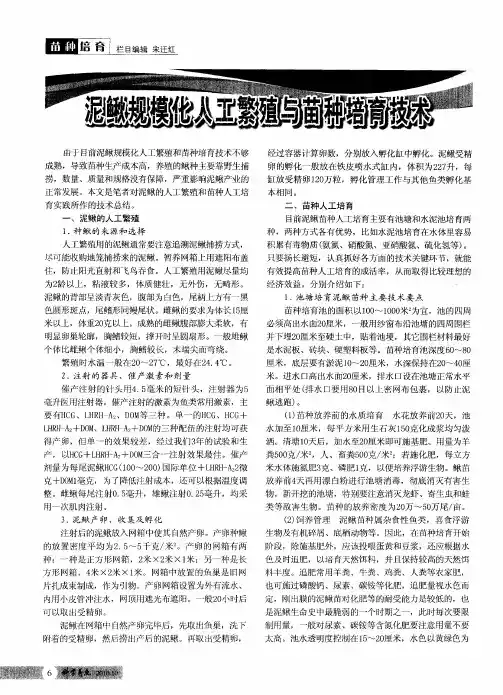 泥鳅规模化人工繁殖与苗种培育技术