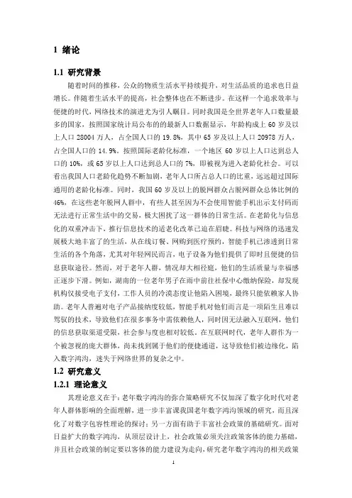 数字鸿沟文献综述和相关理论