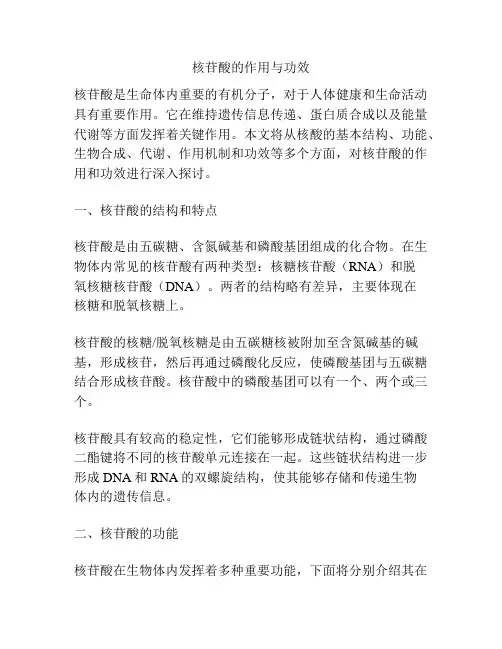 核苷酸的作用与功效