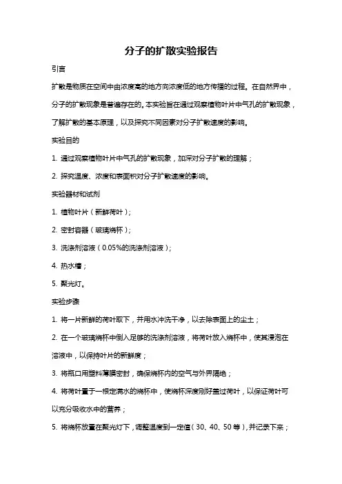 分子的扩散实验报告