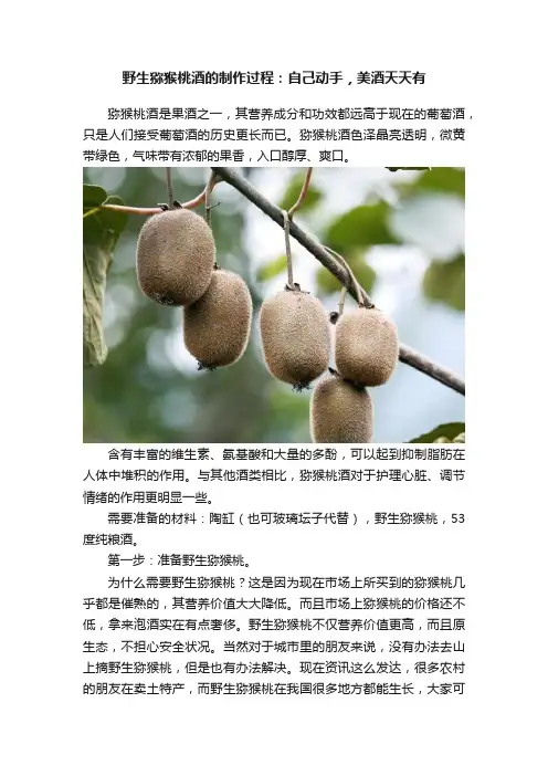 野生猕猴桃酒的制作过程：自己动手，美酒天天有