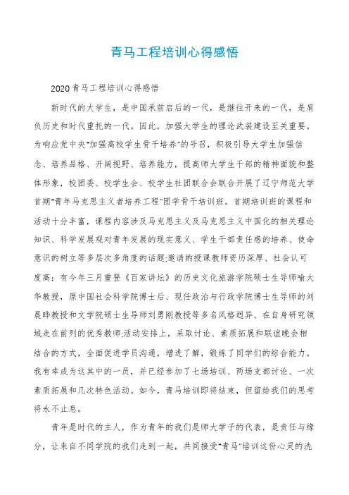 青马工程培训心得感悟