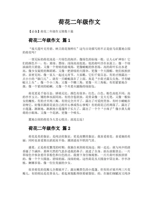 荷花二年级作文