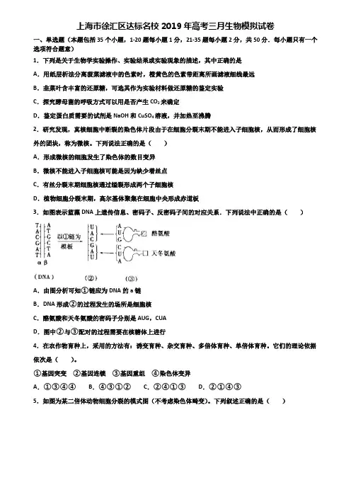 上海市徐汇区达标名校2019年高考三月生物模拟试卷含解析
