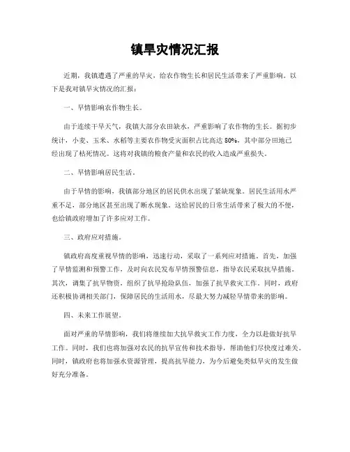 镇旱灾情况汇报