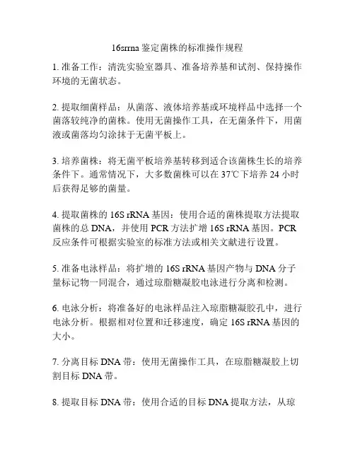 16srrna鉴定菌株的标准操作规程