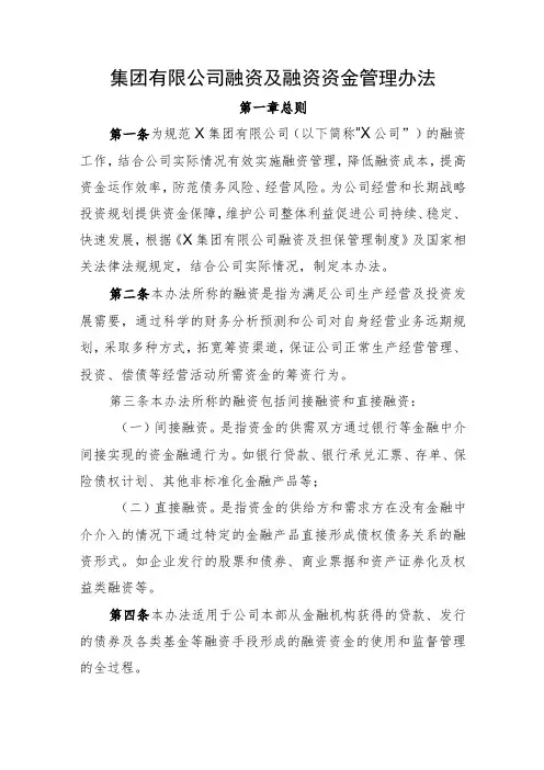 集团有限公司融资及融资资金管理办法
