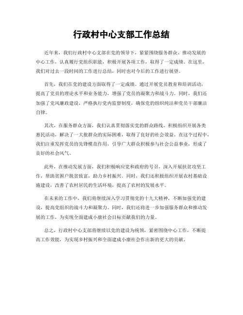 行政村中心支部工作总结