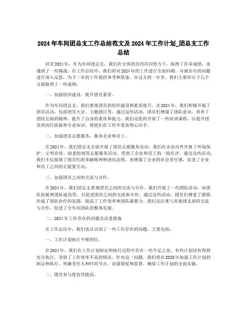 2024年车间团总支工作总结范文及2024年工作计划_团总支工作总结