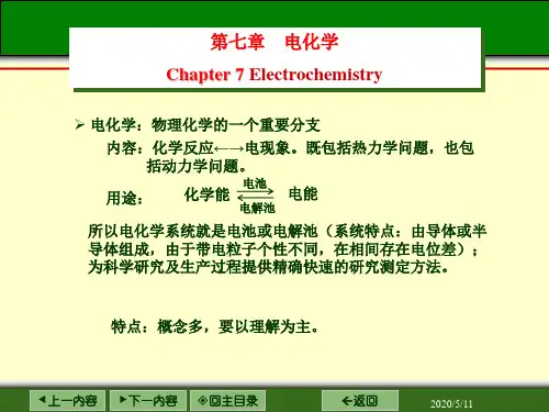 电化学-1电化学基本概念导电机理迁移数电导率