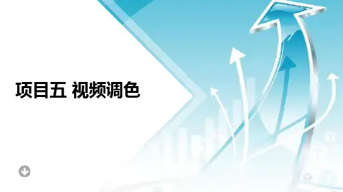 《Premiere视频剪辑技术 》教学课件 项目5 视频调色