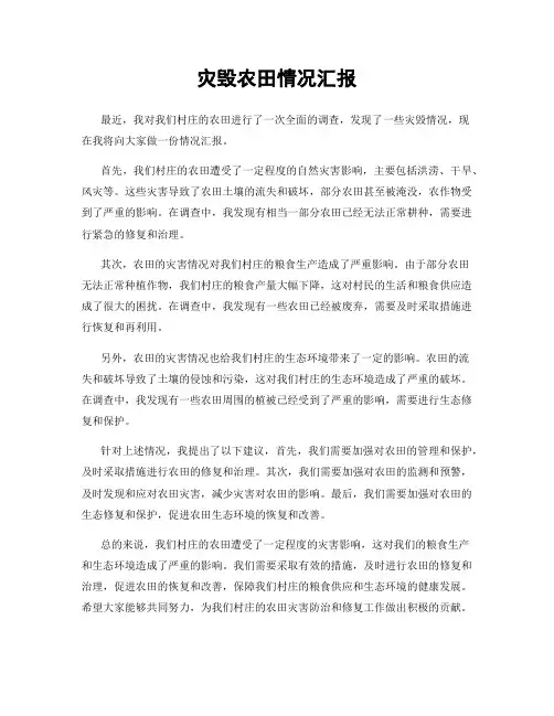 灾毁农田情况汇报