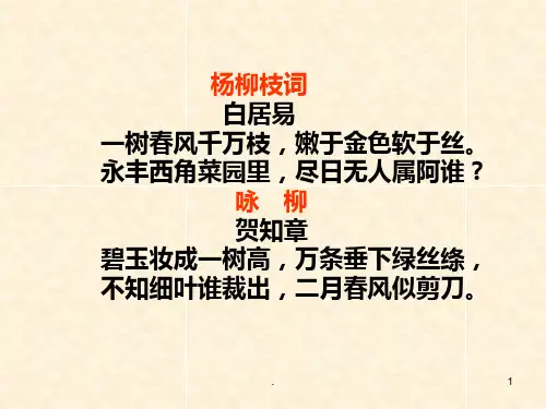 杨柳教学PPT课件