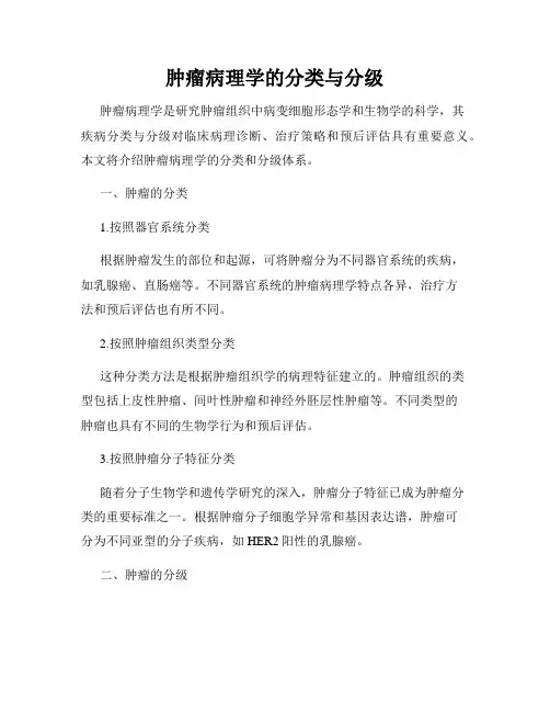 肿瘤病理学的分类与分级