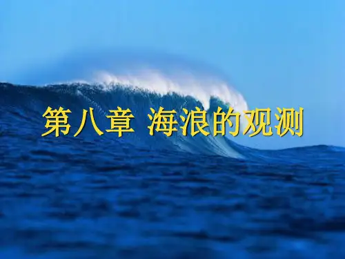 第八章_海浪的观测