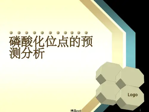 磷酸化位点的预测分析ppt课件
