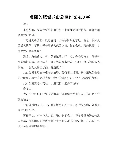 美丽的肥城龙山公园作文400字