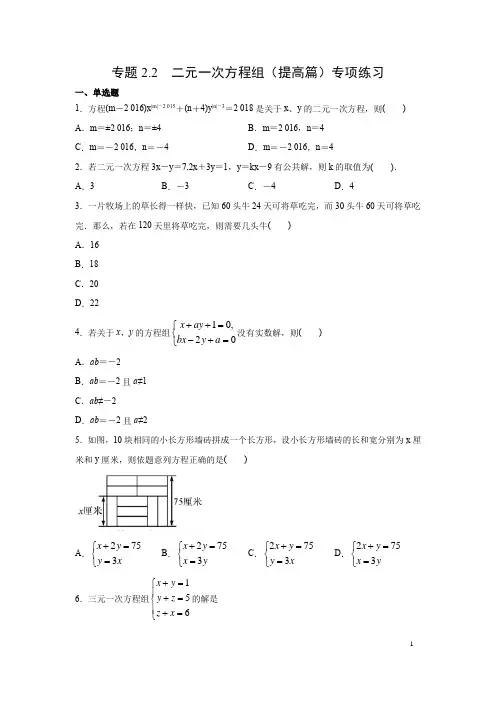 专题2.2 二元一次方程组(提高篇)专项练习-2020-2021学年七年级数学下(浙教版)