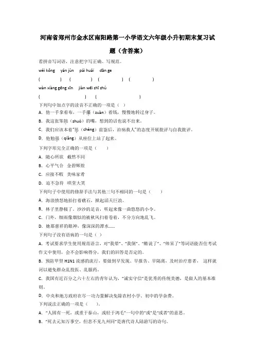 河南省郑州市金水区南阳路第一小学语文六年级小升初期末复习试题(含答案)