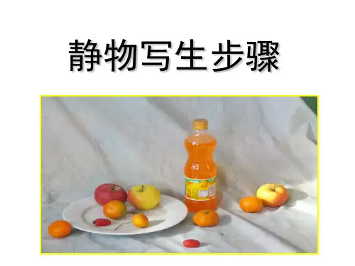 静物写生步骤