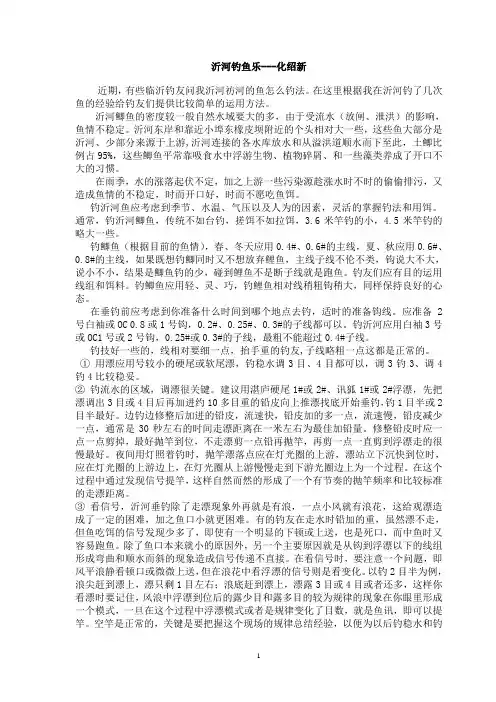 【钓鱼教程】化绍新：沂河钓鱼