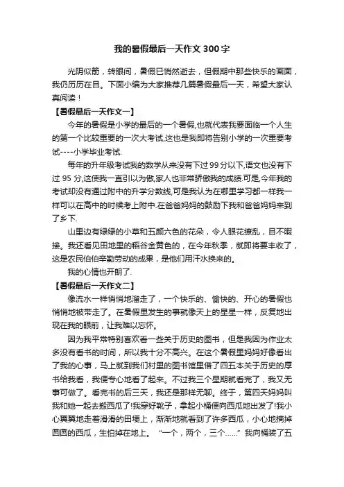 我的暑假最后一天作文300字