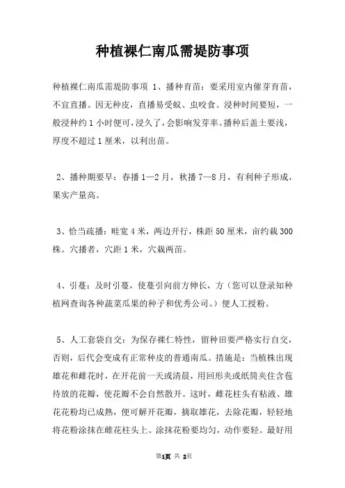 种植裸仁南瓜需堤防事项