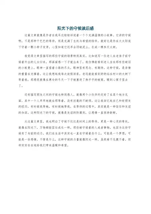 阳光下的守候读后感