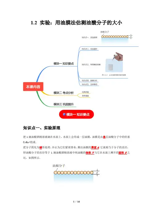 1.2实验：用油膜法估测油酸分子的大小(解析版) (1)
